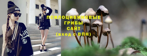прущие грибы Волосово