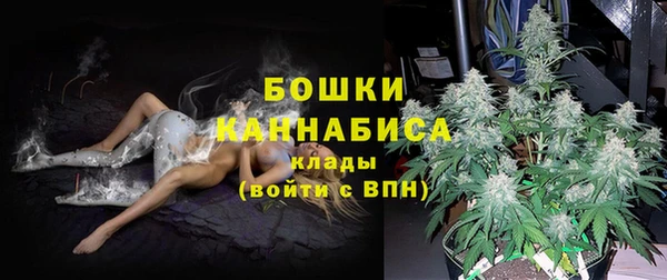 прущие грибы Волосово