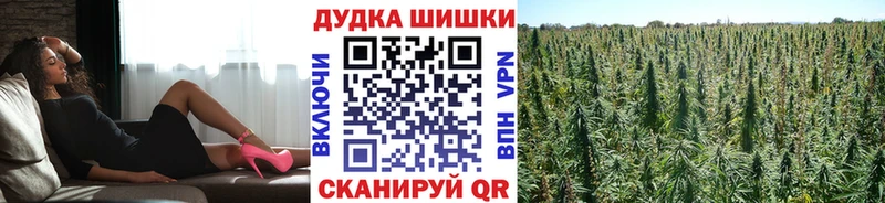 kraken онион  купить наркотики цена  это клад  Канабис план  Касимов 